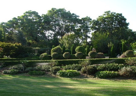 Guestlands Gardens